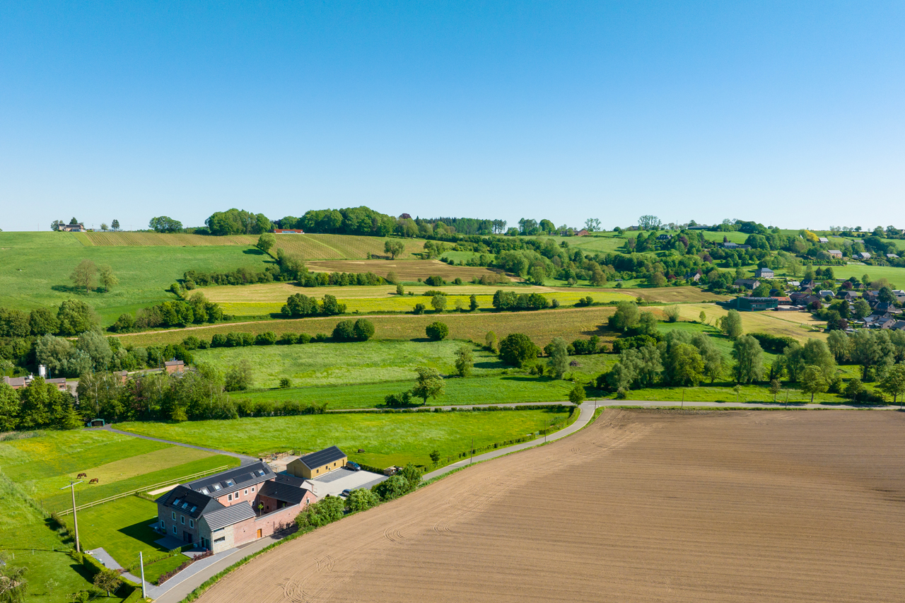 DJI_0446